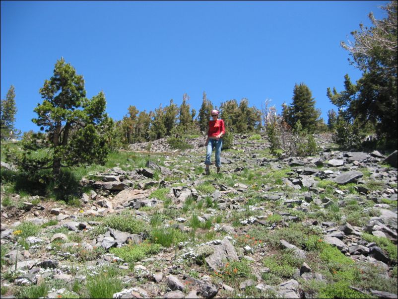 2006-07-16 Tallac (36) On way down